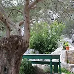 Tomas * Trogir