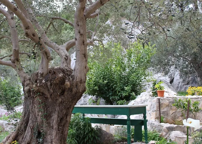 Tomas * تروغير